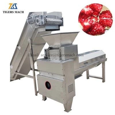 Granatapfel-Prozessmaschine