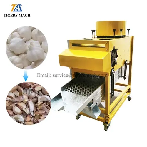 Sortiermaschine für Knoblauchbrecher